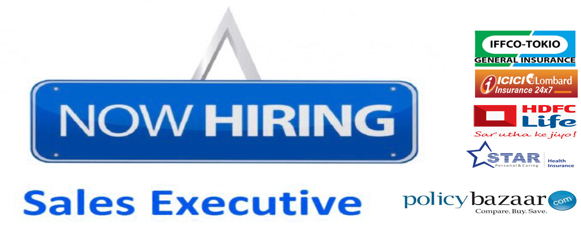 Sales Executive